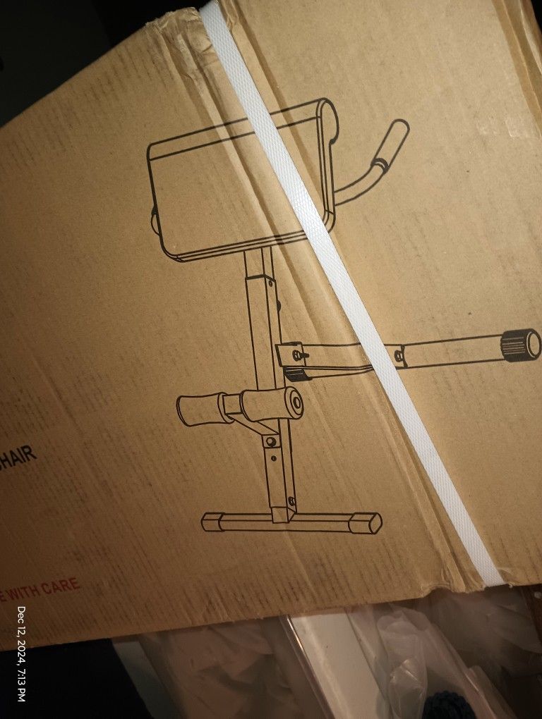 Back & Core Exerciser