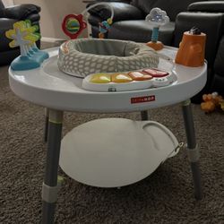 Skip Hop Activity Toy