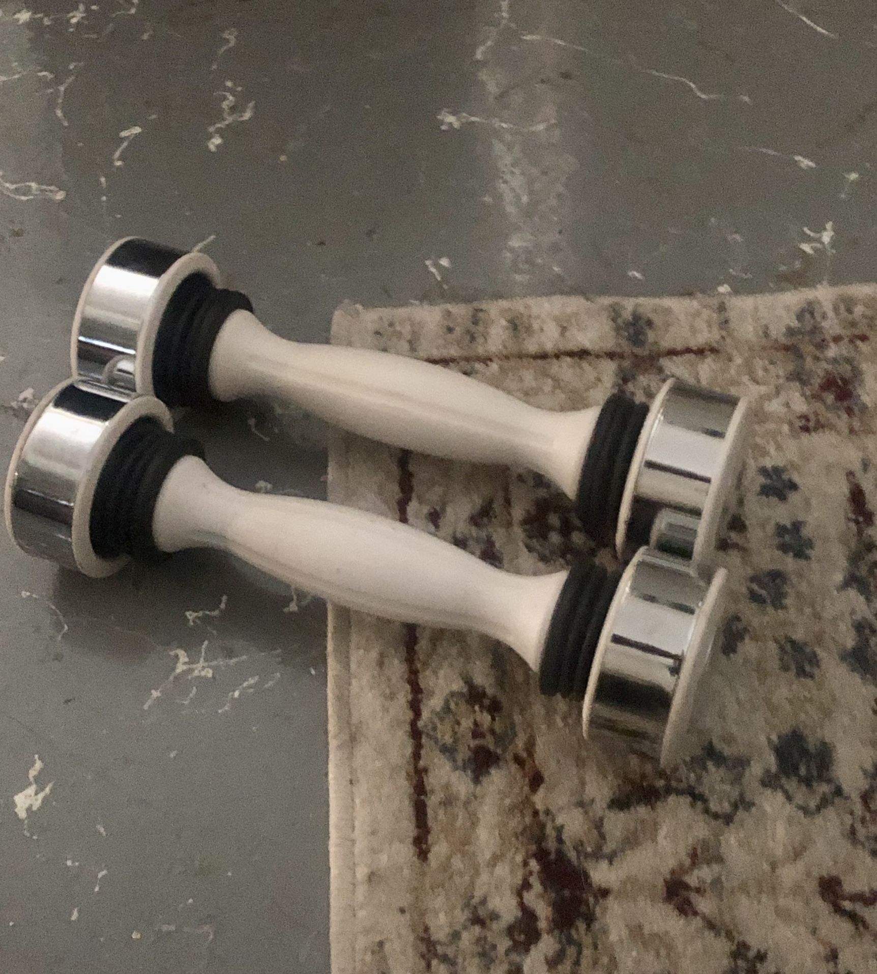 Pair of Shake Weights