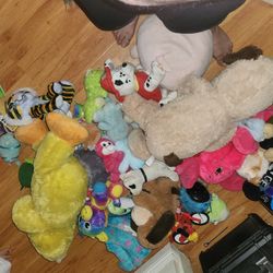 Stuffed Animal  Toys 