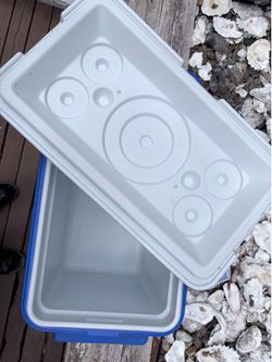 Cooler