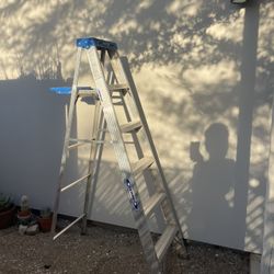 Werner 6ft Ladder