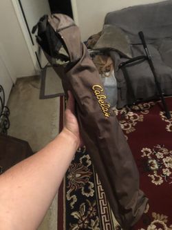 Cabelas chair and pillo