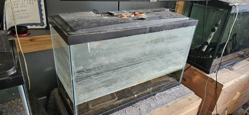 2 Fish Tanks