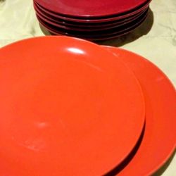 Fall Harvest Dinner Plates
