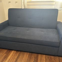 Love Seat With Foldout Bed