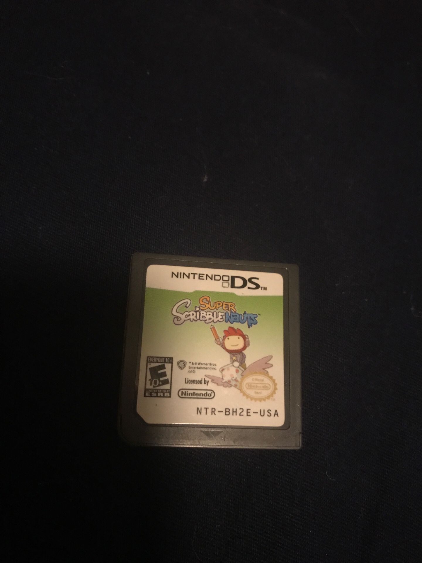 Nintendo ds game