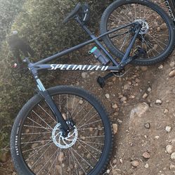 Specialized Rockhopper Mountain Bike 29. Medium 