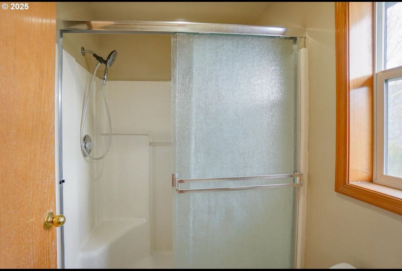 Frosted Glass Sliding Shower Door