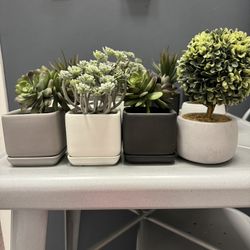 Mini Pots And Fake Plants