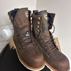 Red Wings Irish Settlers 
