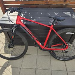 Giant Roam 2 Hybrid Large