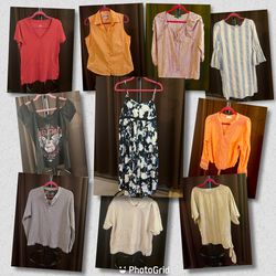 Women Large Clothes Bundle - 10 Items