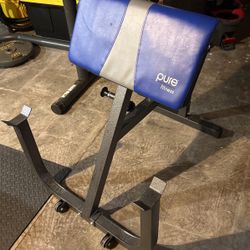 Preacher Curl Bench 