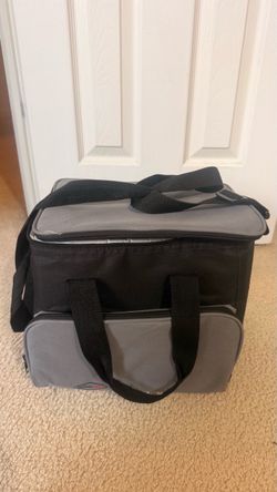 RoadPro RPS370 12V Thermoelectric Cooler Bag