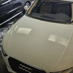 Windshield/palabrisas 