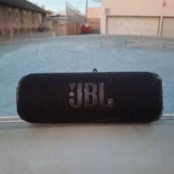 JBL Flip 6