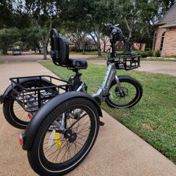  Lectric XP Trike electric tricycle. 
