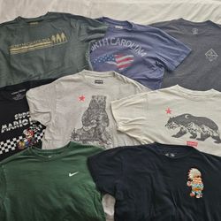 Assorted Mens T-shirts (Size: M and L)