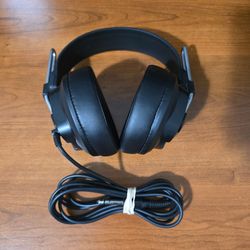 Fostex  Stereo Headphones