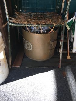 Brass planters large