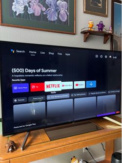 Sony 55in TV
