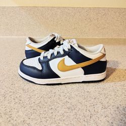 Kids Nike Dunks