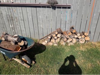 Firewood FREE