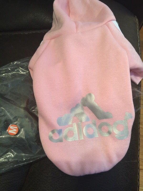 Adidog sweater, small, for $10