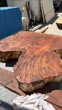 Wood burl approximately 5 inch thick