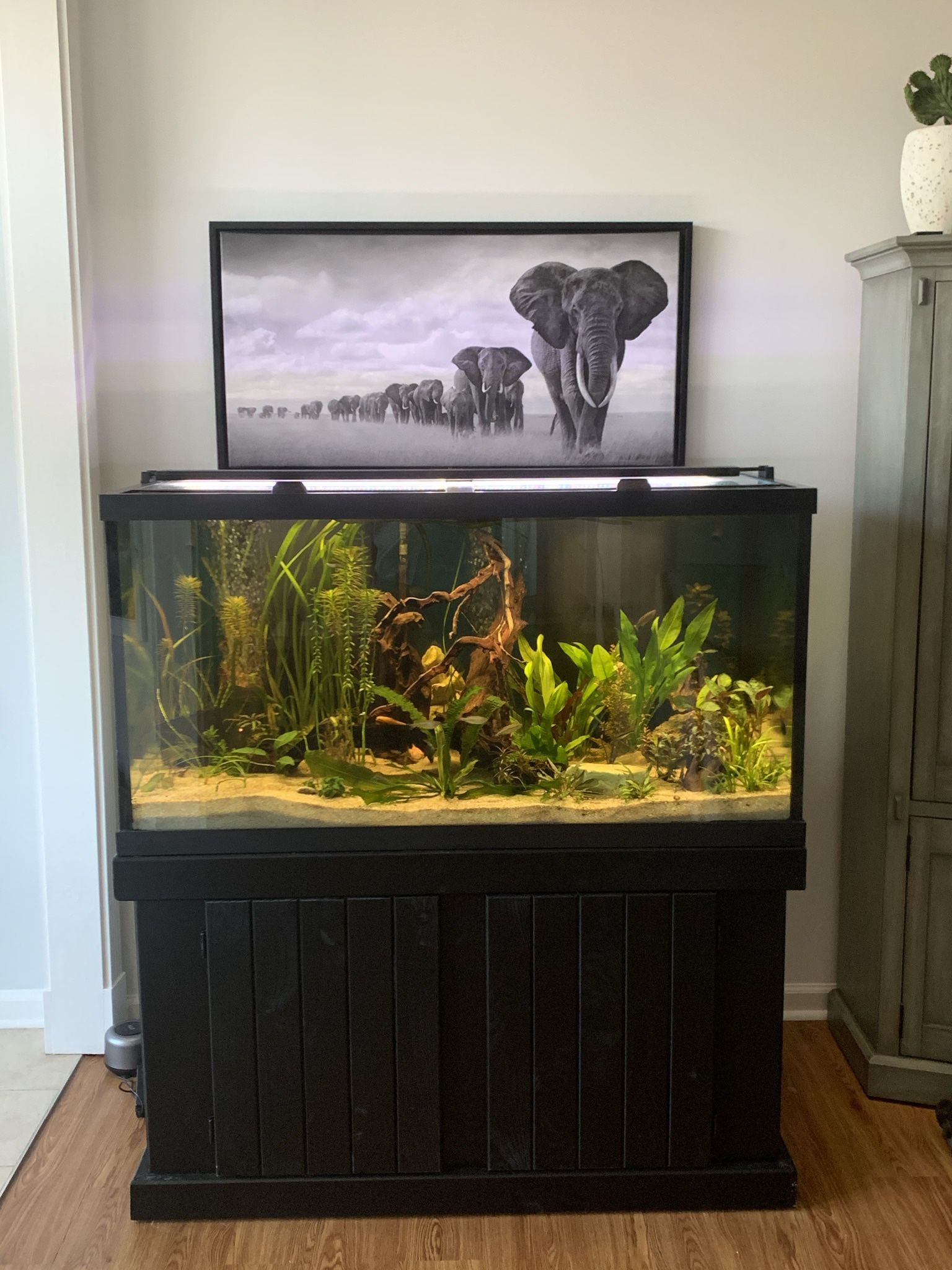 120 Aquarium With Filter System And Stand. 