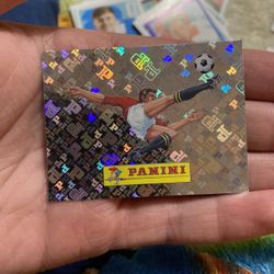 Panini 00