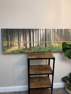 Calm Forest Landscape Wall Art