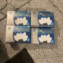 11 Boxes LED C9 White Lights