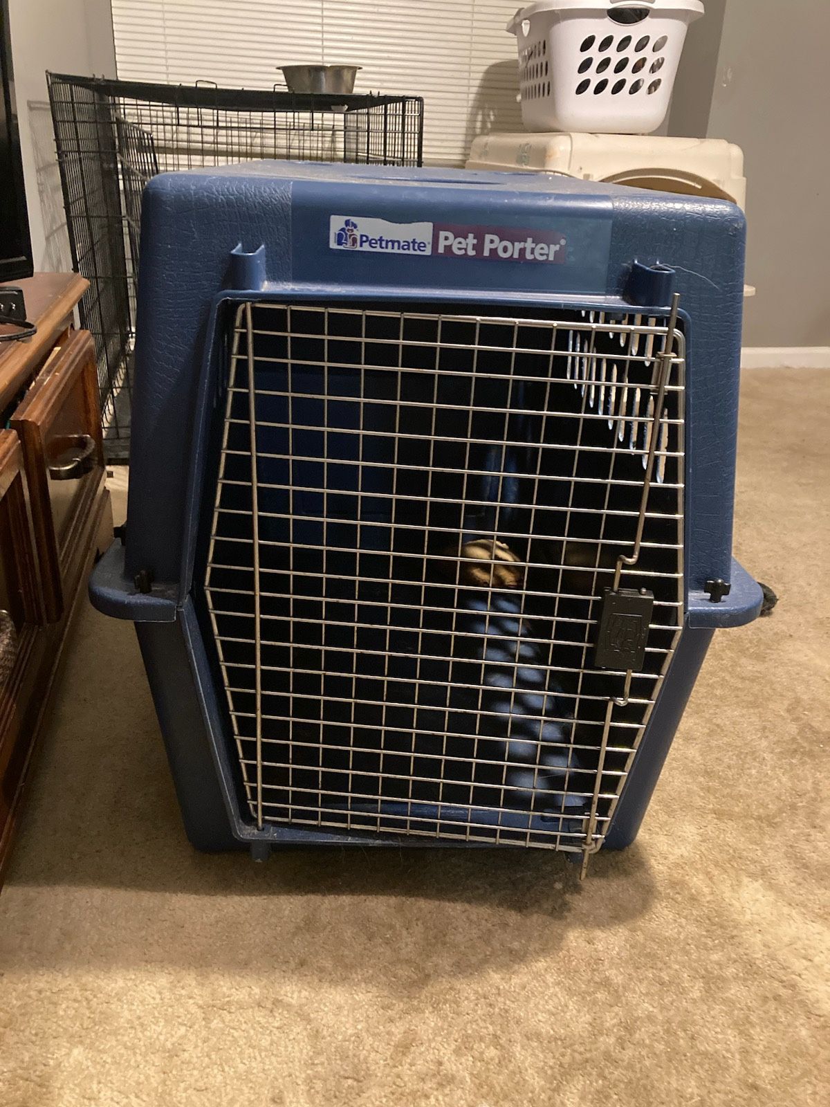 Dog Crate Carrier