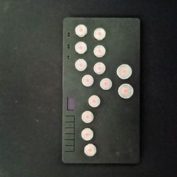 Leverless Fightpad