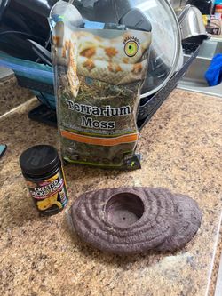 Crested gecko food