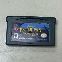 Peter Pan Return to Neverland | DS