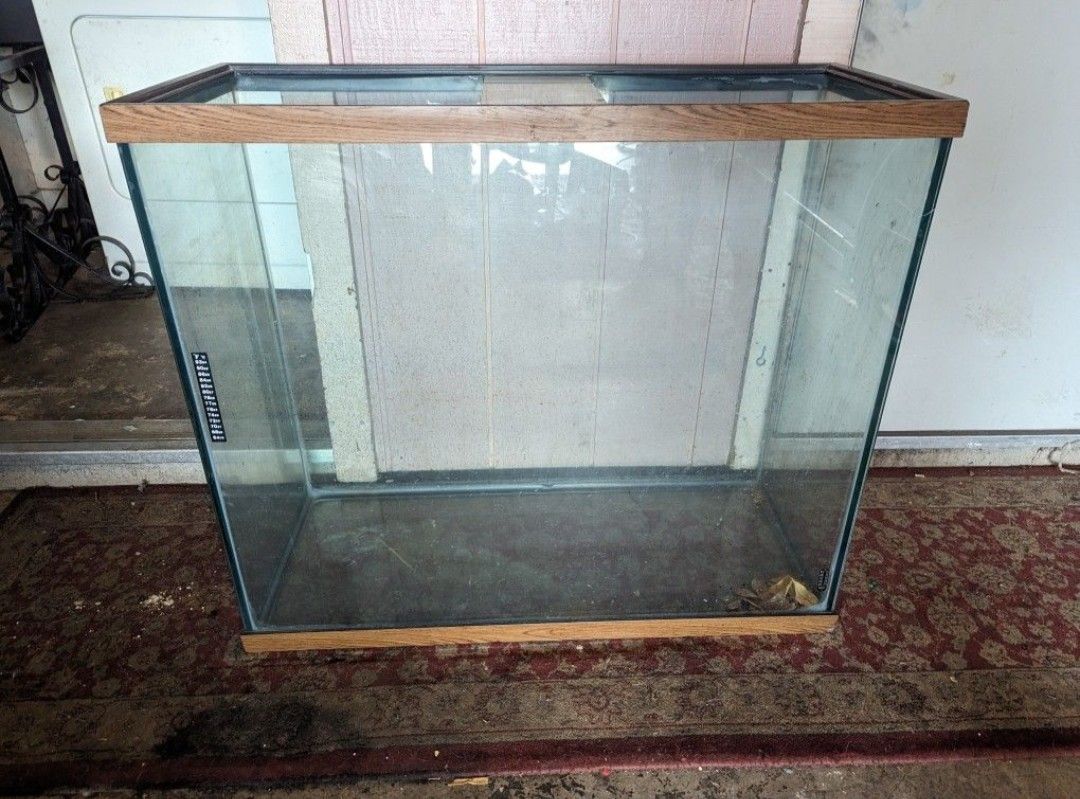 Tall Fish/Reptile Tank
