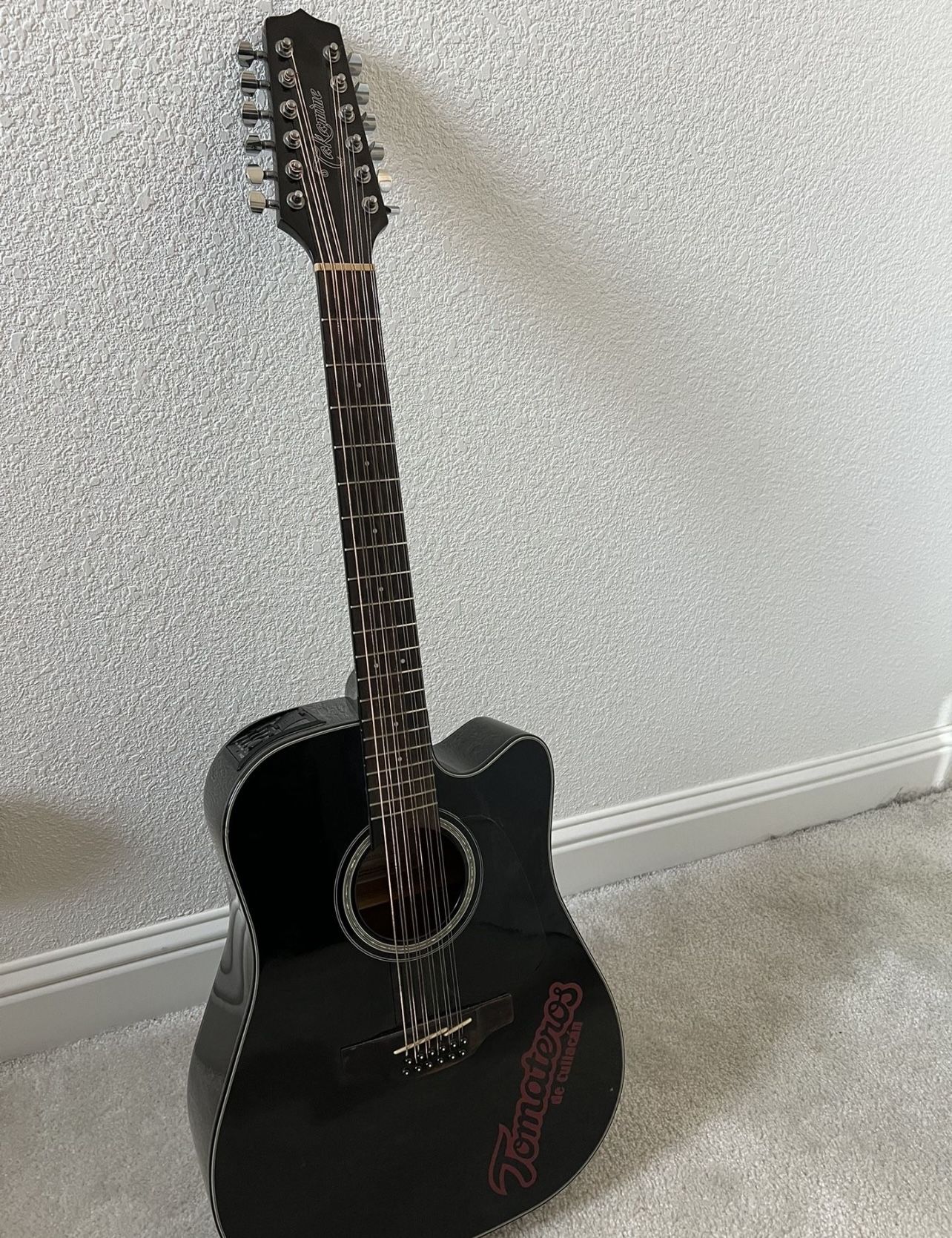 Takamine 12 String