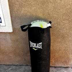 Everlast Heavy punching Bag