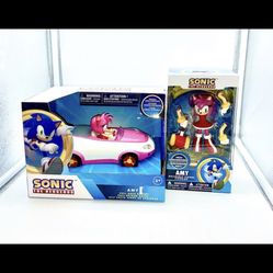 Amy Rose Sonic All Stars Racing Pull Back Action Toy Car 6” and buildable figure