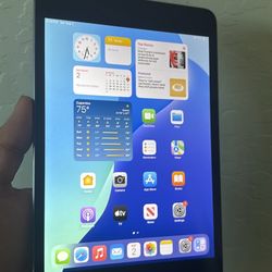iPad Mini 5. Like New And Unlocked! 