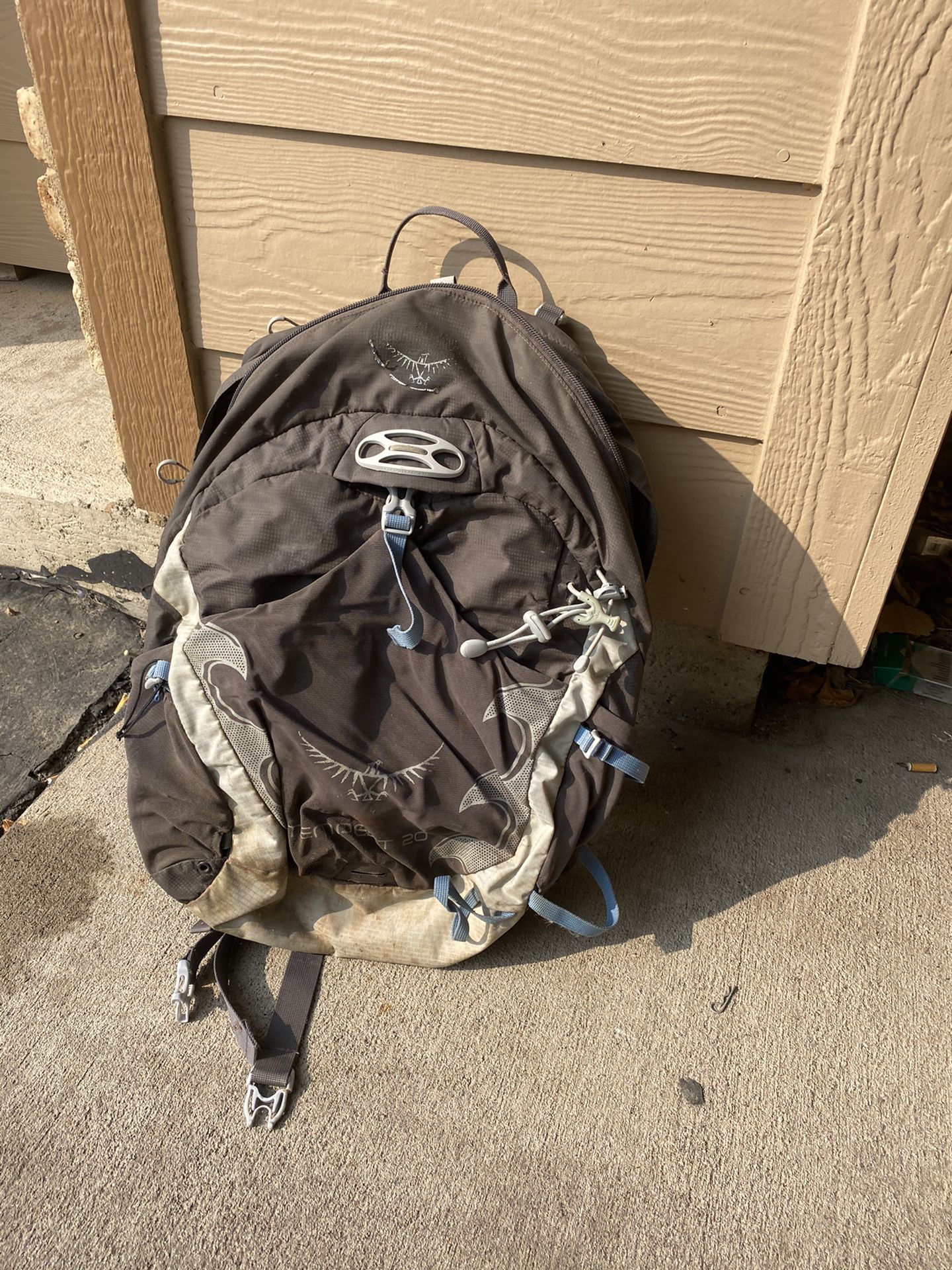 Osprey Hiking Backpack