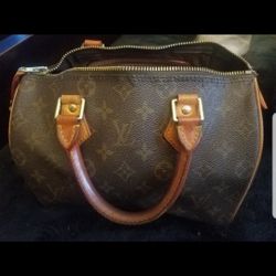 Louis Vuitton Speedy Bag