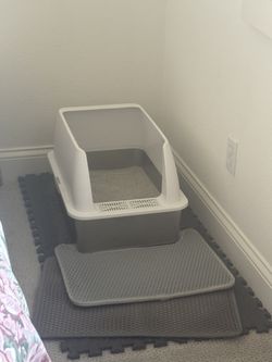 Cat Litter Box and toys and supplies
