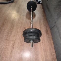 Curl bar with weights