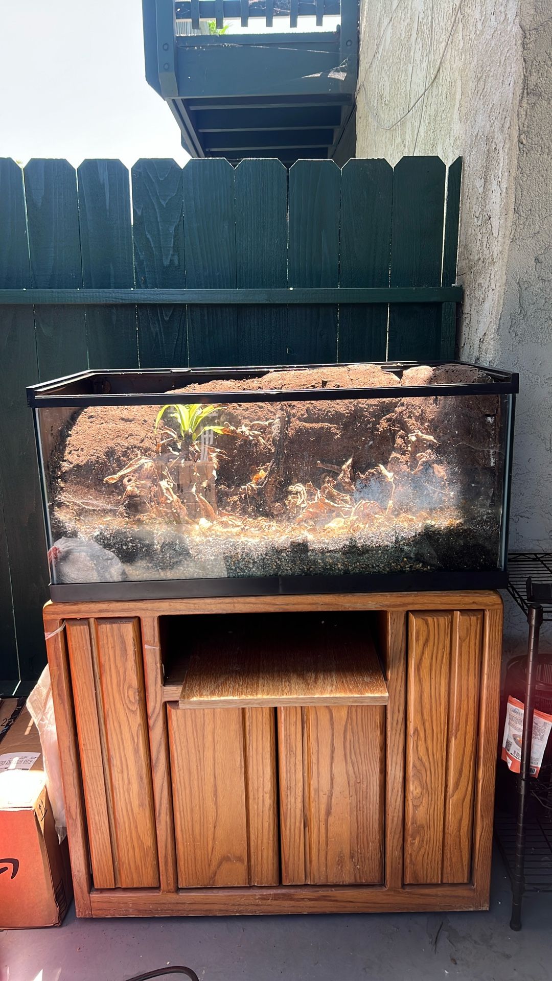 Planted Terrarium Bioactive Ecosystem