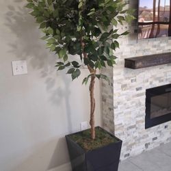 Beautiful Lemoncc Tree (Not real - leaves plastic, wood stem, metal planter)