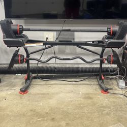 BowFlex Weights 